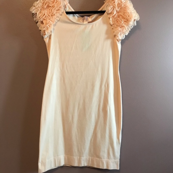 H&M Garden Collection | Pink Ruffle Sleeve Dress - Picture 2 of 5